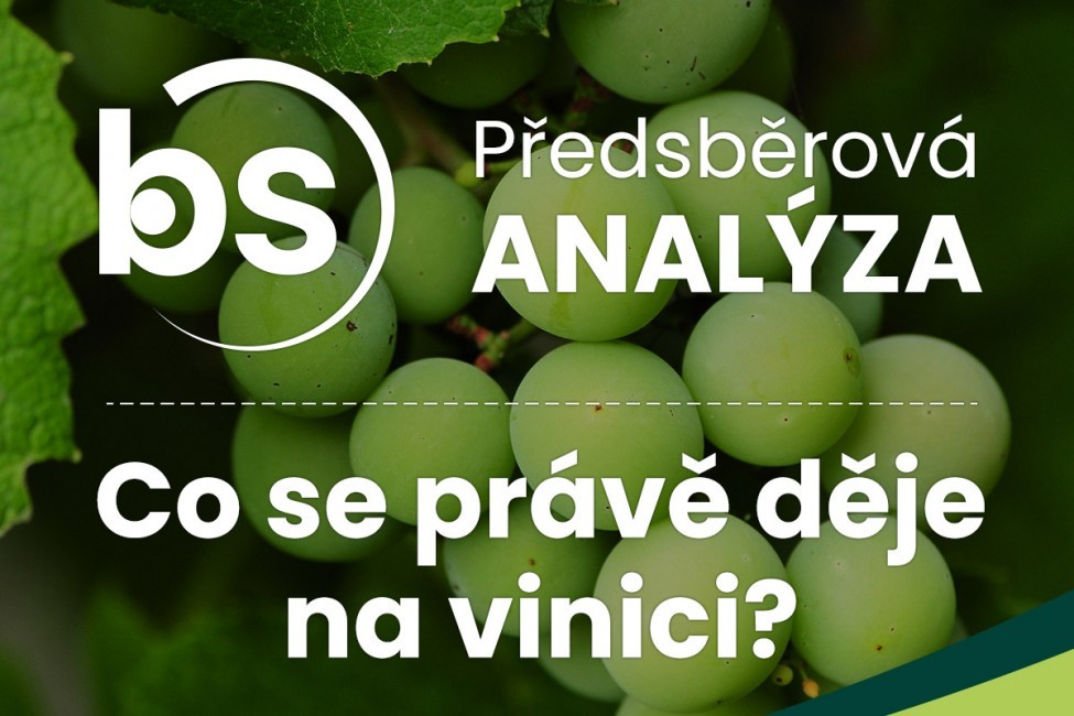 Predzberová analýza 2026!