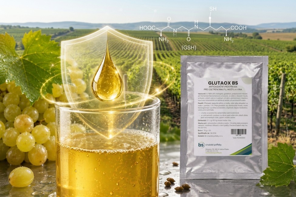 Vinári potvrdzujú: GLUTAOX BS drží arómu a sviežosť muštu na maximum