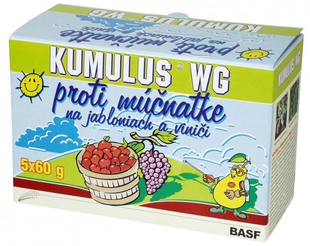 Kumulus - účinný prostriedok proti múčnatke na viniči a jabloniach