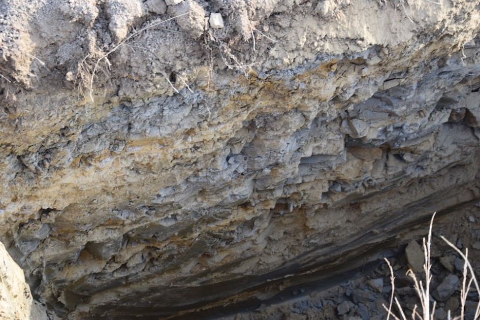 Zhodnotenie pôdneho profilu je dôležité pred výsadbou viniča hroznorodého