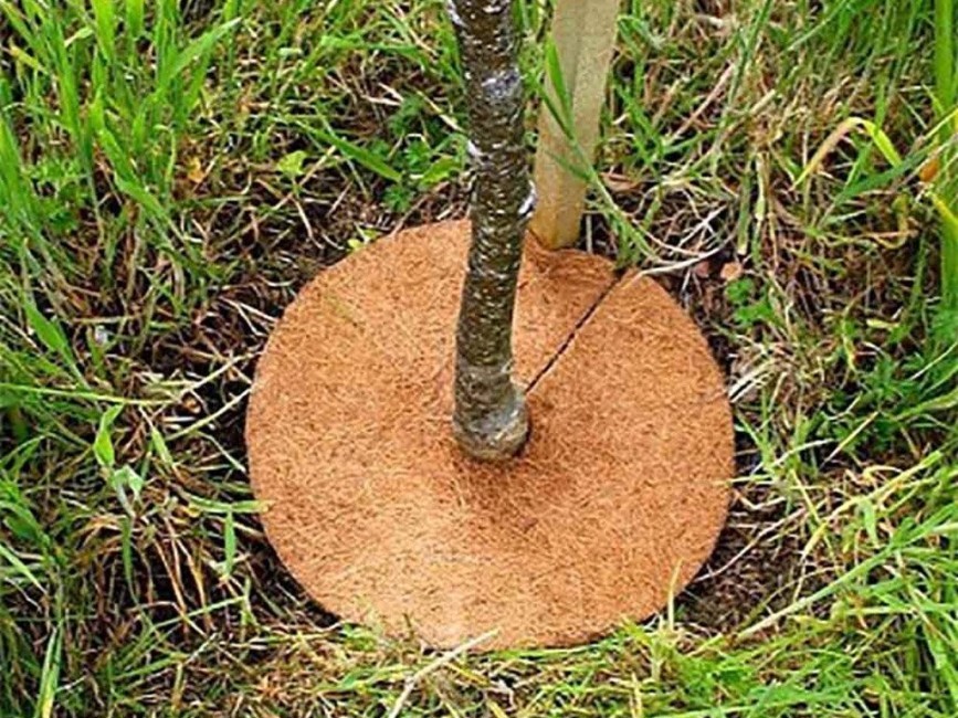 Mulčovací kokosový kruh na ochranu rastlín