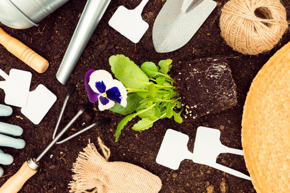 Záhradné substráty - ako ich delíme a aké je ich využitie ?