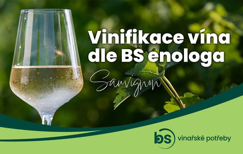 SAUVIGNON