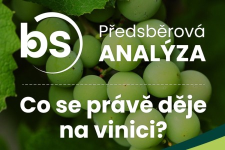 Predzberová analýza 35. týždeň