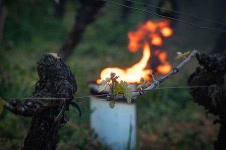 Protimrazová parafínová svieca