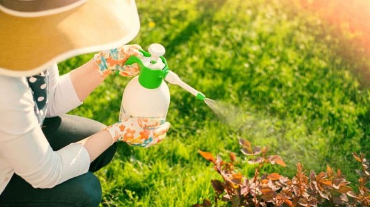 Ako sa vyznať v pesticídoch ?