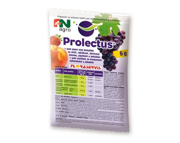 Prolectus (6g)