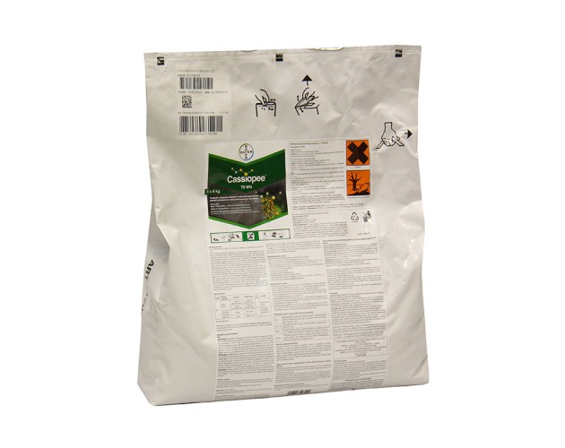CASSIOPEE 79 WG - (6kg)