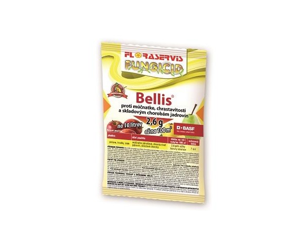 Bellis (13 g)