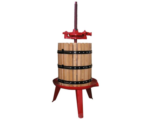 Lis 45 VERENA PILLAN (96L)