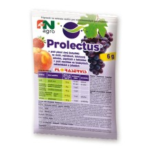 Prolectus (6g)