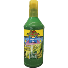Florasin lignovit Fe (1L)