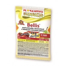 Bellis (13 g)