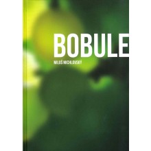 Kniha BOBULE