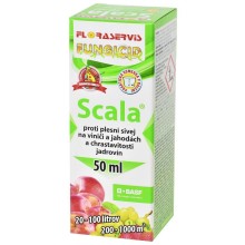 Scala (50ml)