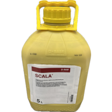 Scala 5l