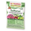 Sulfurus (50 g)