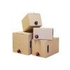 BAG IN BOX kartón (3L)