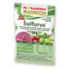 Sulfurus (50 g)